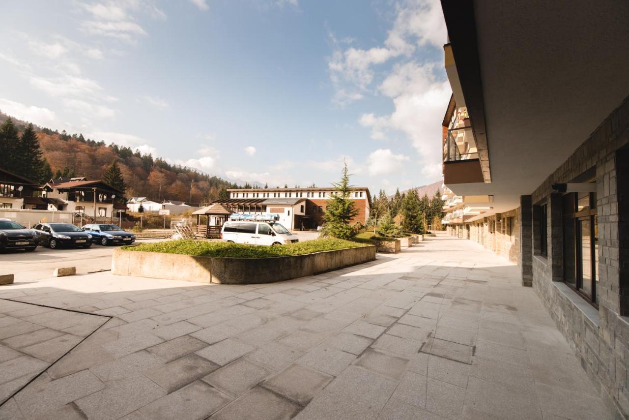 Studio Mountain View Sinaia Exterior photo