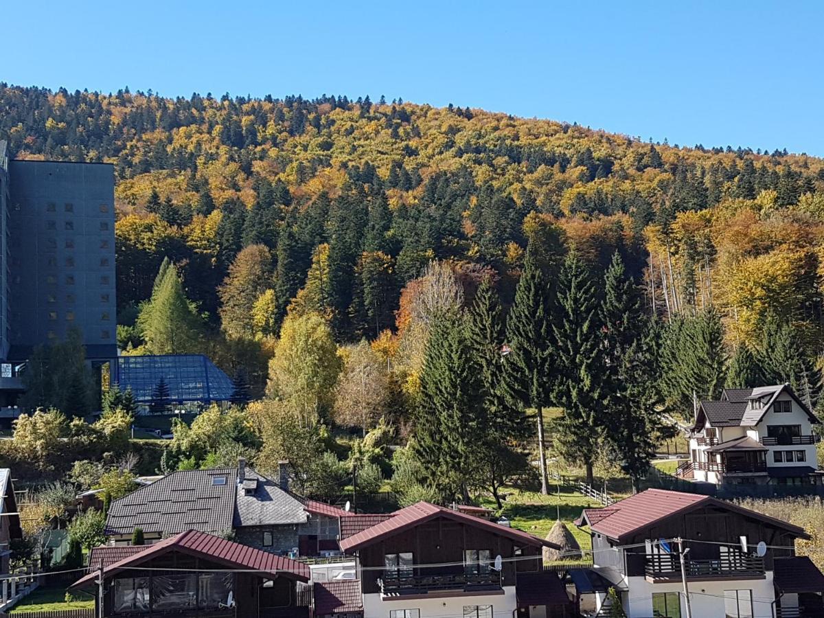Studio Mountain View Sinaia Exterior photo