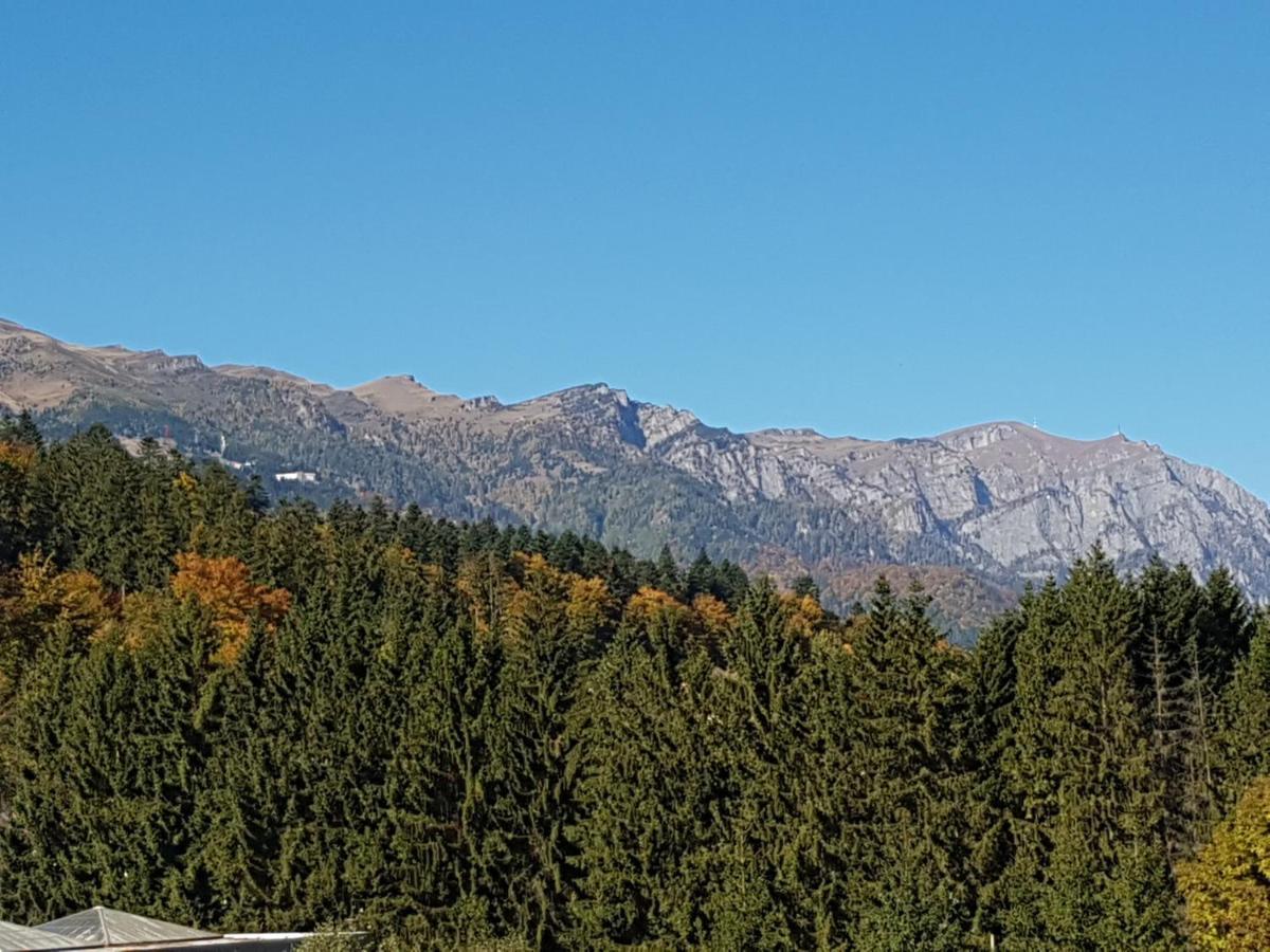 Studio Mountain View Sinaia Exterior photo