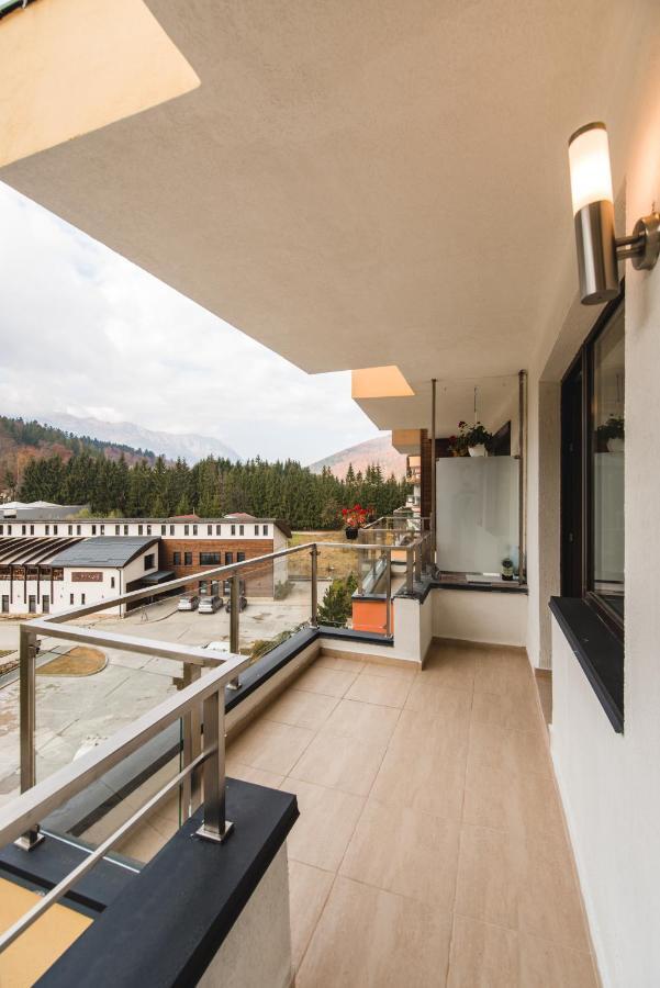 Studio Mountain View Sinaia Exterior photo
